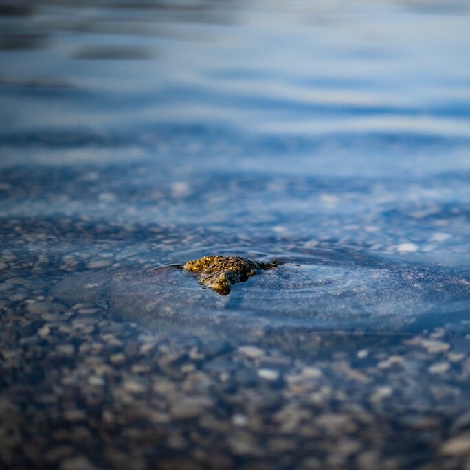 Bild_Stein im Wasser_1