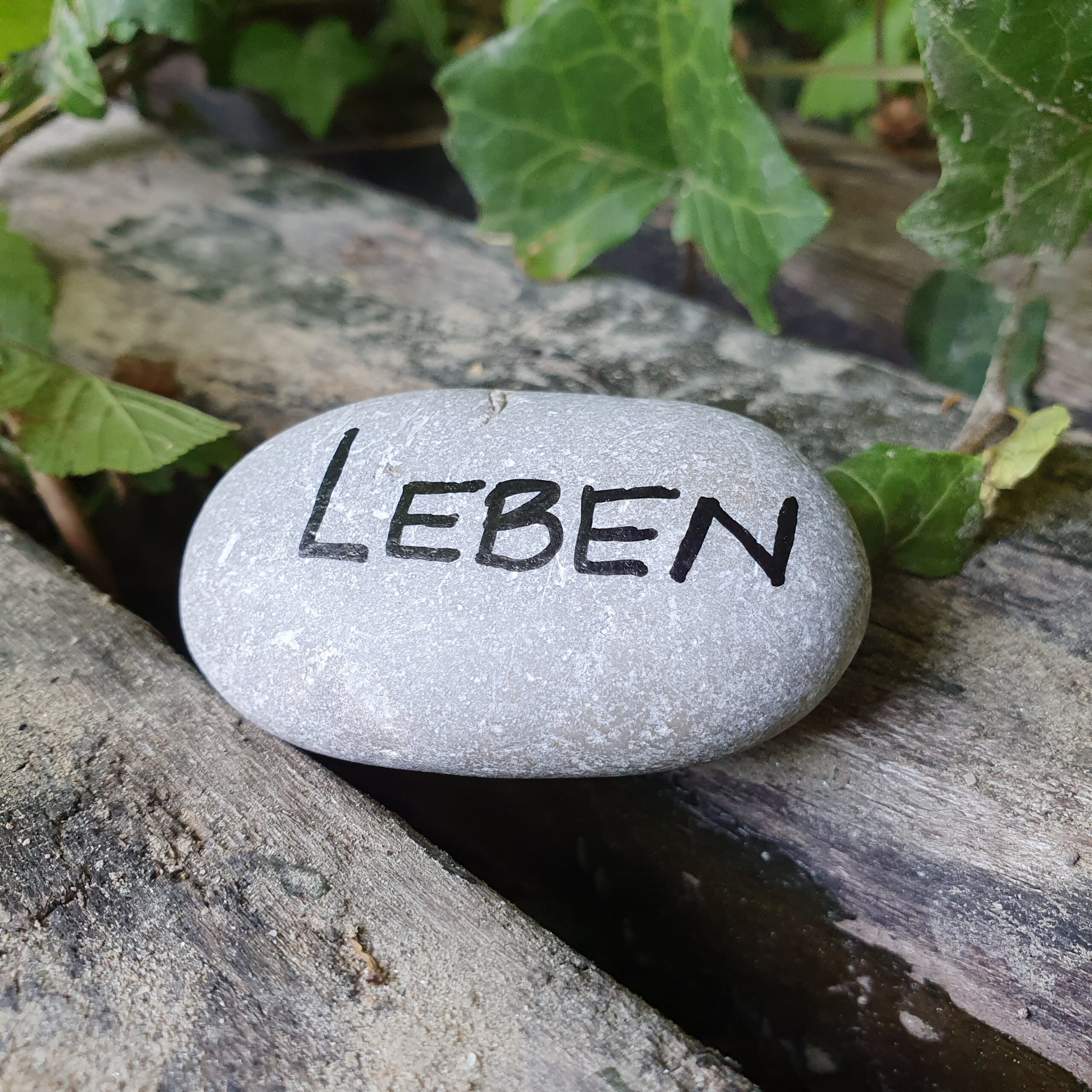 Impulsstein_Leben