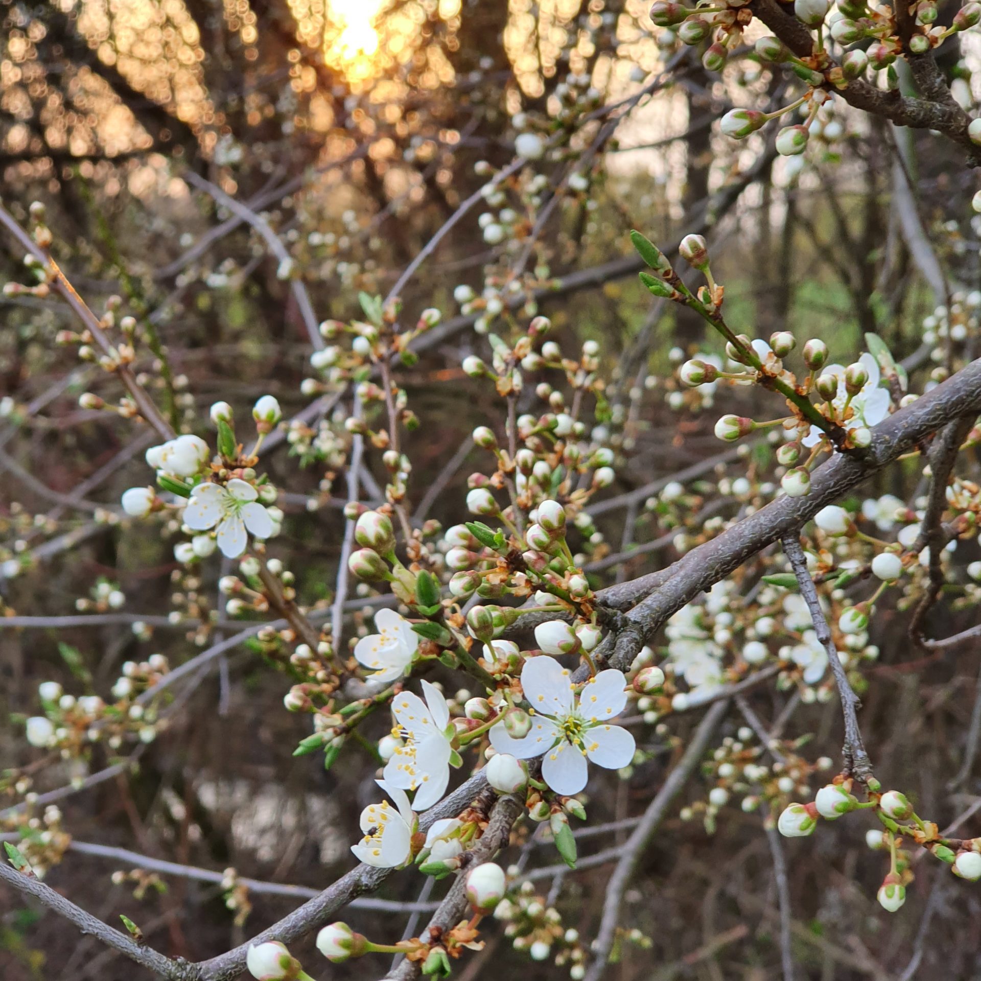 Ostern 2021
