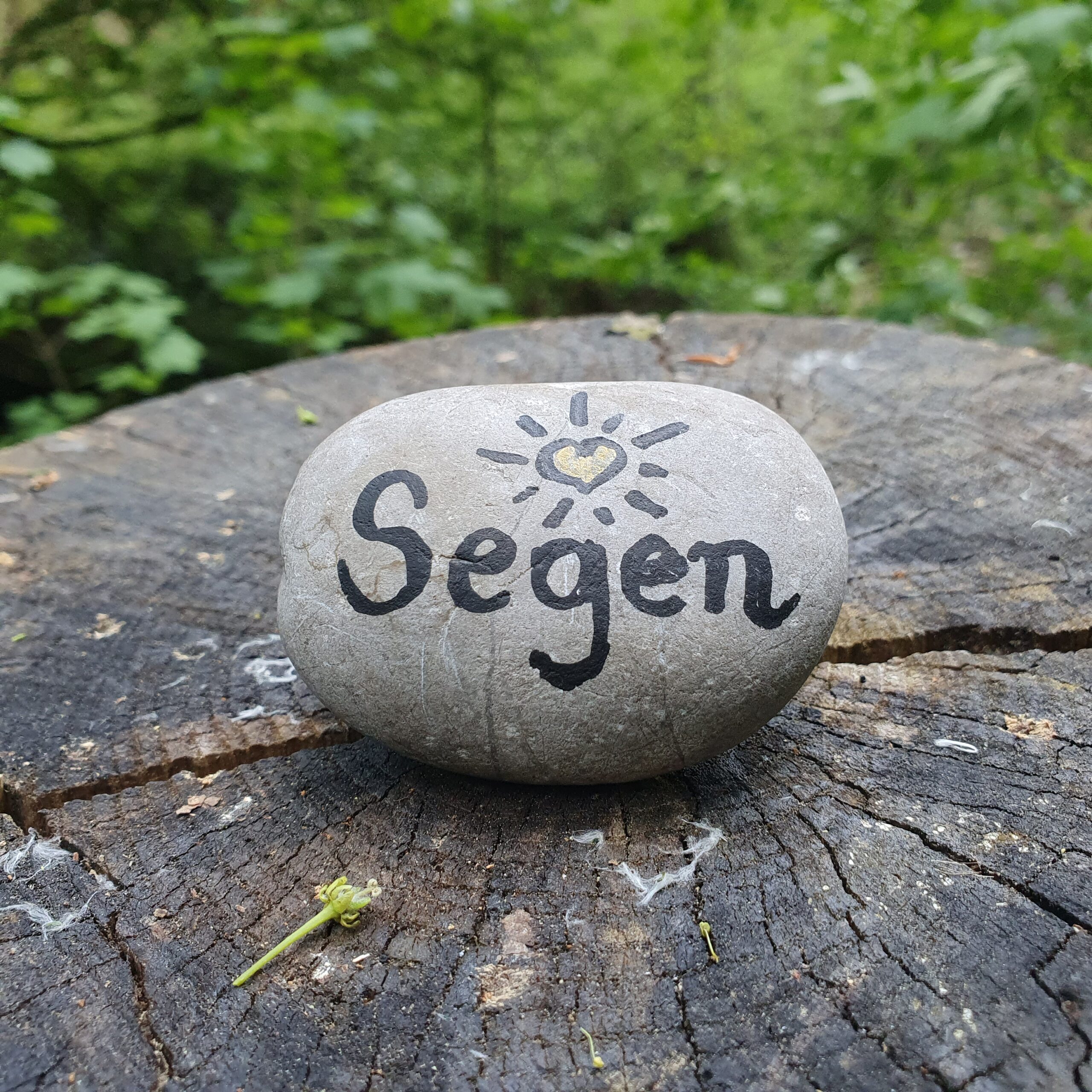 Segen